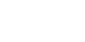 flybridge_logo_white_16052018