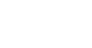 Proctor Aviation Logo