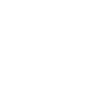 pegasus-airlines-eps-vector-logo